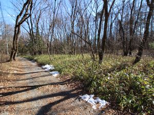 北杜市白州町土地査定。売却完了