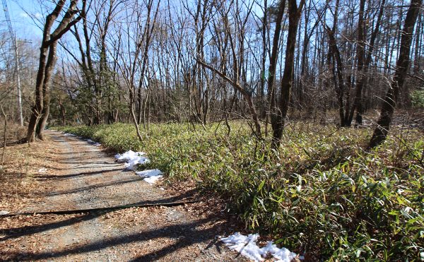 北杜市白州町土地査定。売却完了